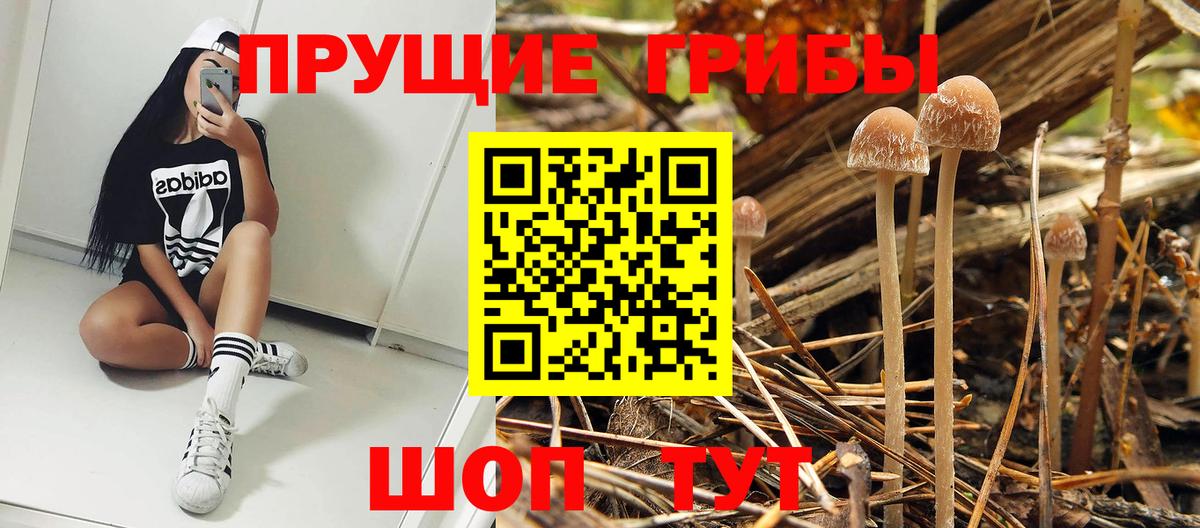 Псилоцибиновые грибы MAGIC MUSHROOMS Кохма