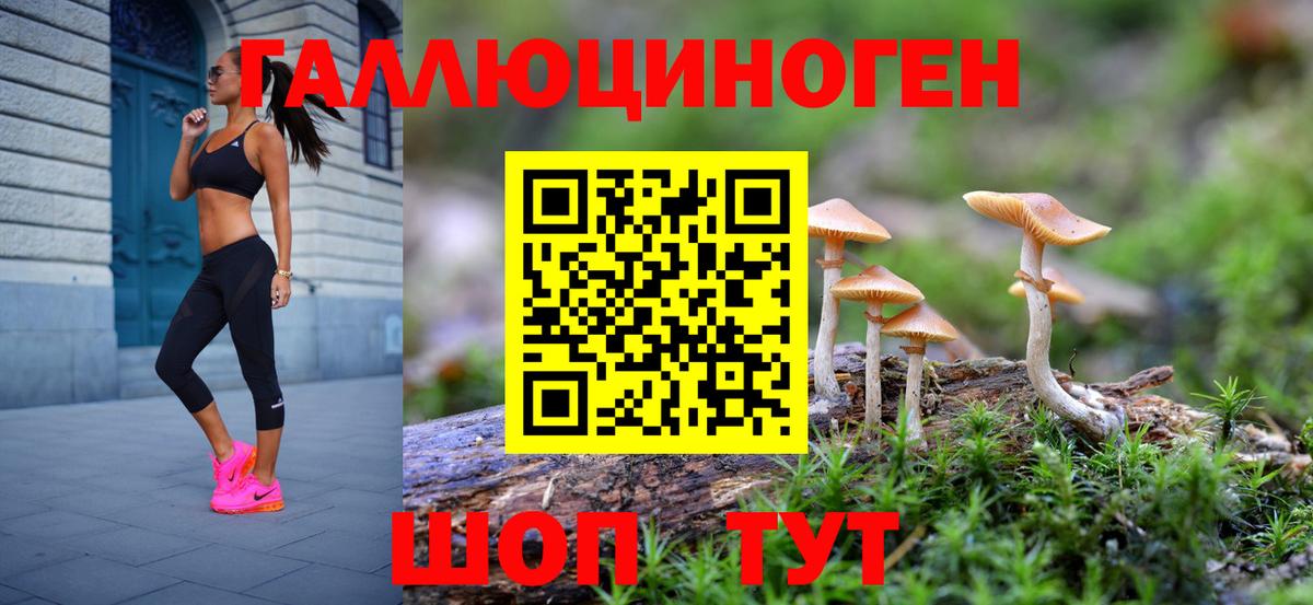 где найти наркотики  Вход с VPN  Кохма  Псилоцибиновые грибы GOLDEN TEACHER 
